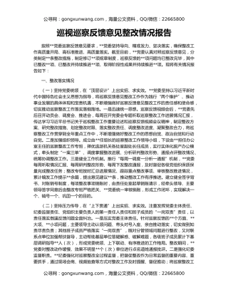 巡视巡察反馈意见整改情况报告
