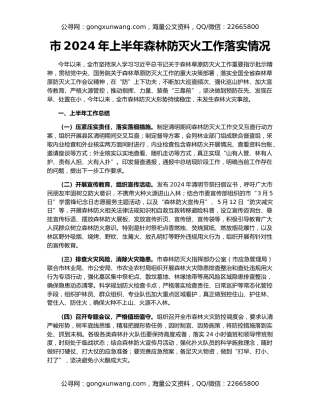 市2024年上半年森林防灭火工作落实情况