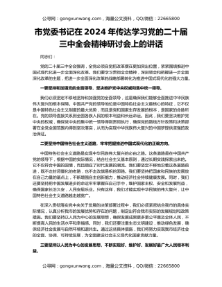 市党委书记在2024年传达学习党的二十届三中全会精神研讨会上的讲话