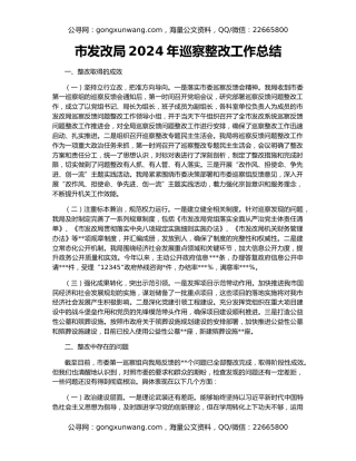 市发改局2024年巡察整改工作总结