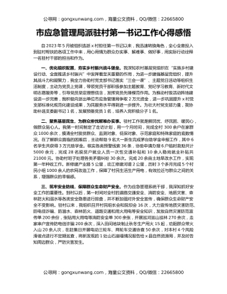 市应急管理局派驻村第一书记工作心得感悟