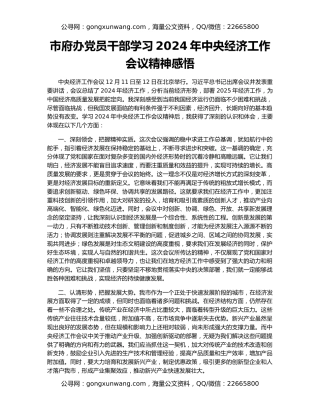 市府办党员干部学习2024年中央经济工作会议精神感悟