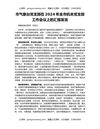 市气象台党支部在2024年全市机关党支部工作会议上的汇报发言