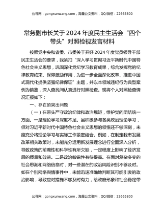 常务副市长关于2024年度民主生活会“四个带头”对照检视发言材料