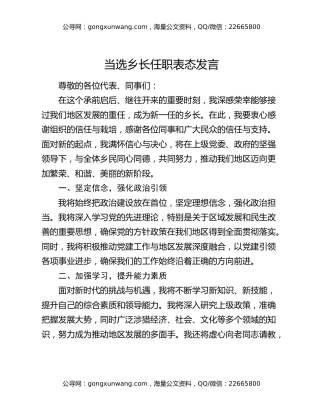 当选乡长任职表态发言