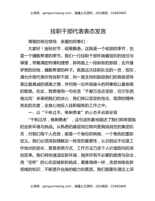 挂职干部代表表态发言