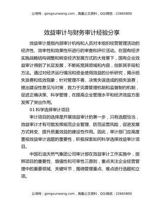 效益审计与财务审计经验分享