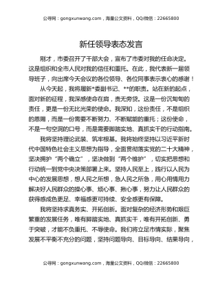 新任领导表态发言
