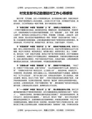 村党支部书记助理驻村工作心得感悟