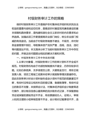 村级财务审计工作的策略