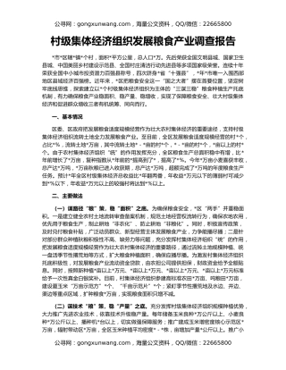 村级集体经济组织发展粮食产业调查报告