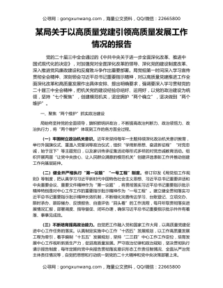 某局关于以高质量党建引领高质量发展工作情况的报告