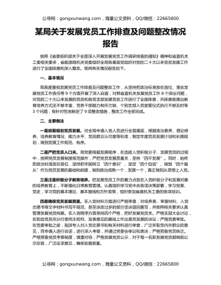 某局关于发展党员工作排查及问题整改情况报告