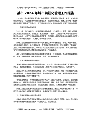 某市 2024 年城市精细化管理工作报告