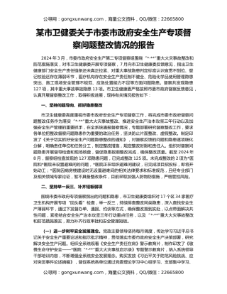某市卫健委关于市委市政府安全生产专项督察问题整改情况的报告