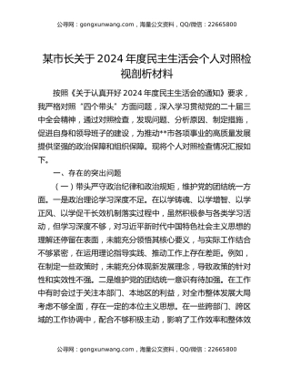 某市长关于2024年度民主生活会个人对照检视剖析材料