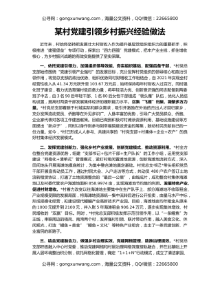 某村党建引领乡村振兴经验做法