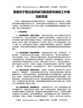 某镇关于整治歪风陋习推进移风易俗工作情况的总结