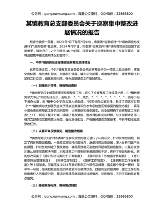 某镇教育总支部委员会关于巡察集中整改进展情况的报告