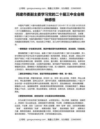 民建市委副主委学习党的二十届三中全会精神感悟