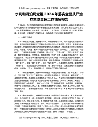 水利和湖泊局党组2024年落实全面从严治党主体责任工作情况报告