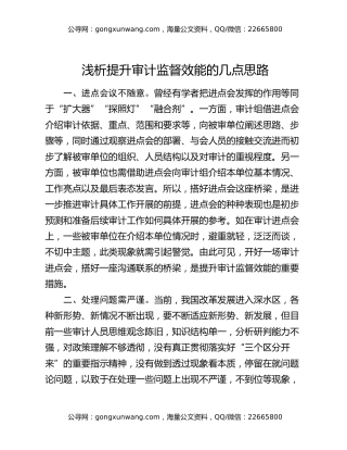 浅析提升审计监督效能的几点思路