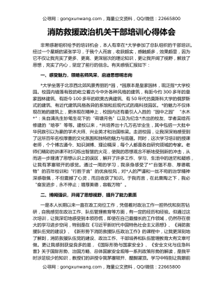 消防救援政治机关干部培训心得体会