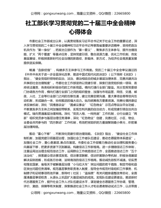 社工部长学习贯彻党的二十届三中全会精神心得体会
