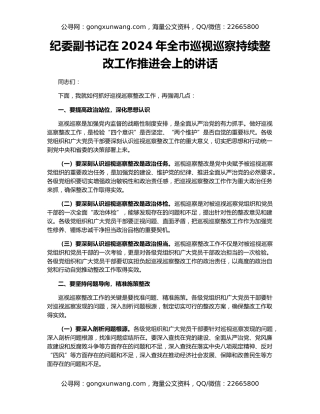 纪委副书记在2024年全市巡视巡察持续整改工作推进会上的讲话