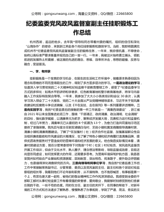 纪委监委党风政风监督室副主任挂职锻炼工作总结