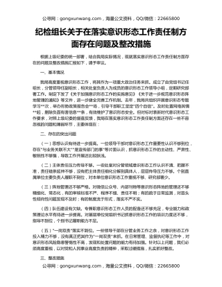 纪检组长关于在落实意识形态工作责任制方面存在问题及整改措施