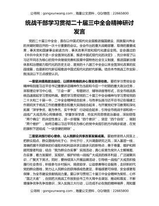 统战干部学习贯彻二十届三中全会精神研讨发言