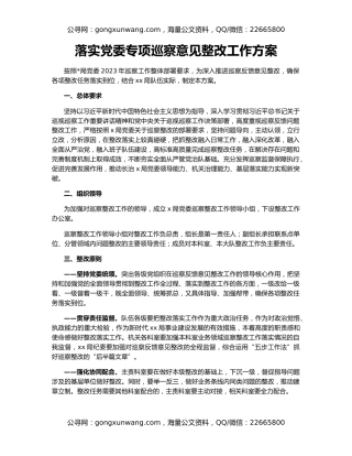 落实党委专项巡察意见整改工作方案