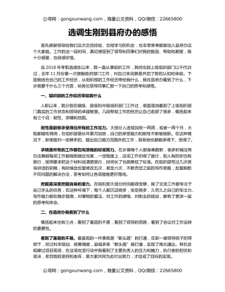 选调生刚到县府办的感悟