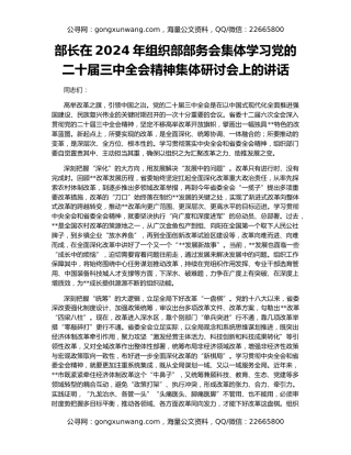 部长在2024年组织部部务会集体学习党的二十届三中全会精神集体研讨会上的讲话