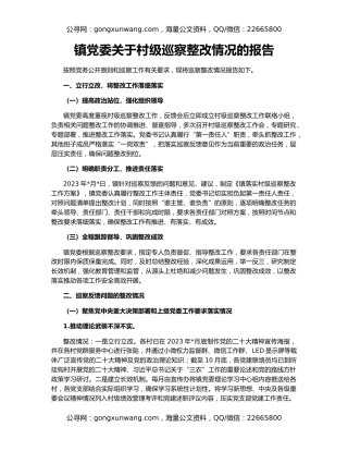镇党委关于村级巡察整改情况的报告
