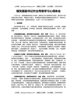 镇党委副书记外出考察学习心得体会