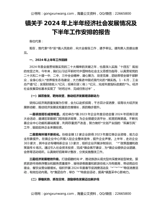 镇关于2024年上半年经济社会发展情况及下半年工作安排的报告