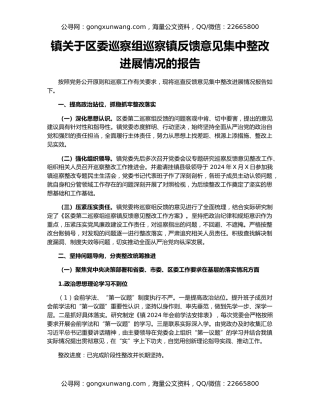 镇关于区委巡察组巡察镇反馈意见集中整改进展情况的报告