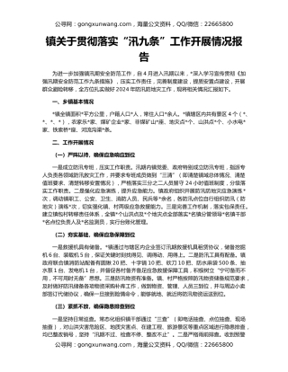 镇关于贯彻落实“汛九条”工作开展情况报告