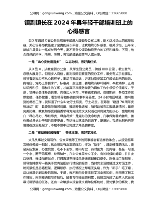 镇副镇长在2024年县年轻干部培训班上的心得感言