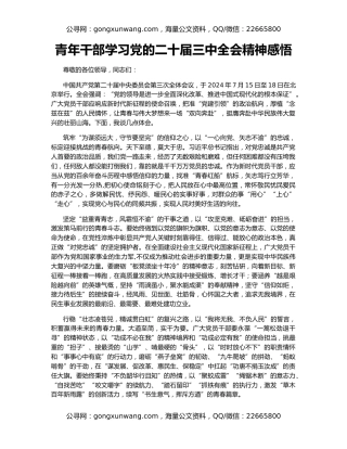 青年干部学习党的二十届三中全会精神感悟