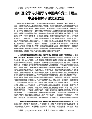 青年理论学习小组学习中国共产党二十届三中全会精神研讨交流发言