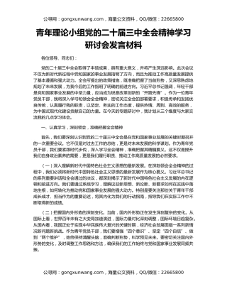 青年理论小组党的二十届三中全会精神学习研讨会发言材料