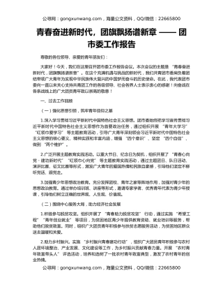 青春奋进新时代，团旗飘扬谱新章 —— 团市委工作报告