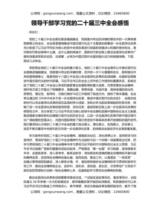 领导干部学习党的二十届三中全会感悟