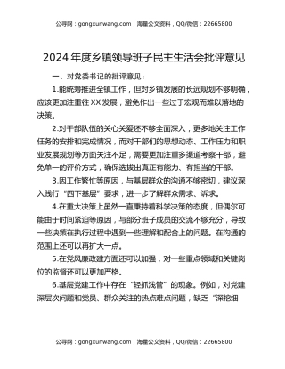 2024年度乡镇领导班子民主生活会批评意见