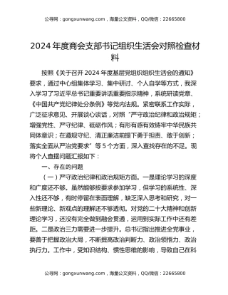 2024年度商会支部书记组织生活会对照检查材料