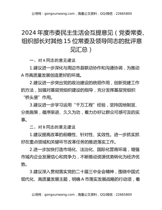 2024年度市委民主生活会互提意见（党委常委、组织部长对其他15位常委及领导同志的批评意见汇总）