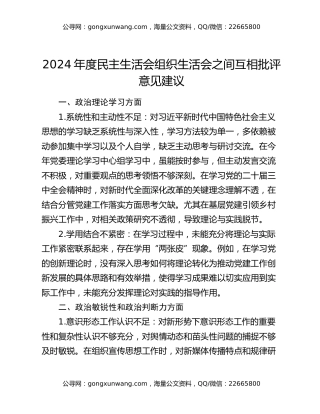 2024年度民主生活会 组织生活会之间互相批评意见建议
